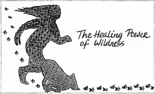 The Healing Power of Wildness